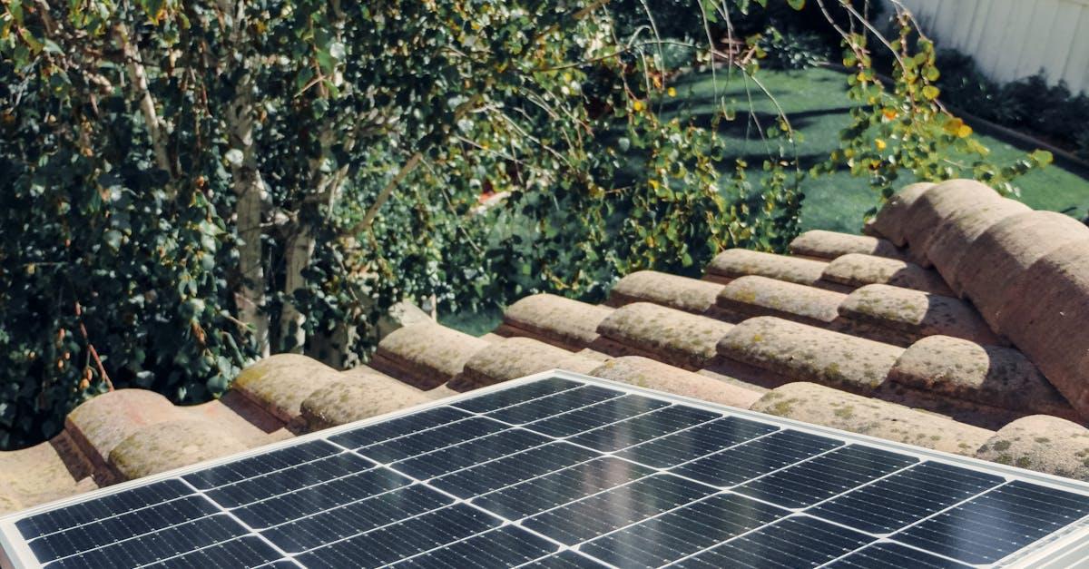 Fördelarna med solenergi för jordbruk och livsmedelsproduktion: En översikt